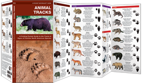 Pocket Naturalist Guides