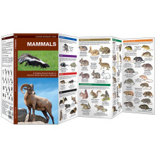 Mammals