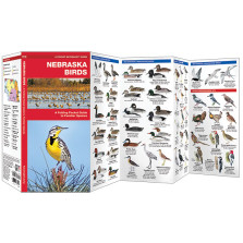 The Cornhusker State is an undulating plain that slopes gradually from northwest to southwest with semiarid high plains and over 2,000 lakes and is the permanent or migratory home of 455 species of birds including the state bird – the Western meadowlark. 
